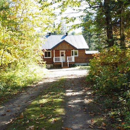Chalet Riviere - Bord De Riviere - Romantique Saint-Alexis-des-Monts Eksteriør billede