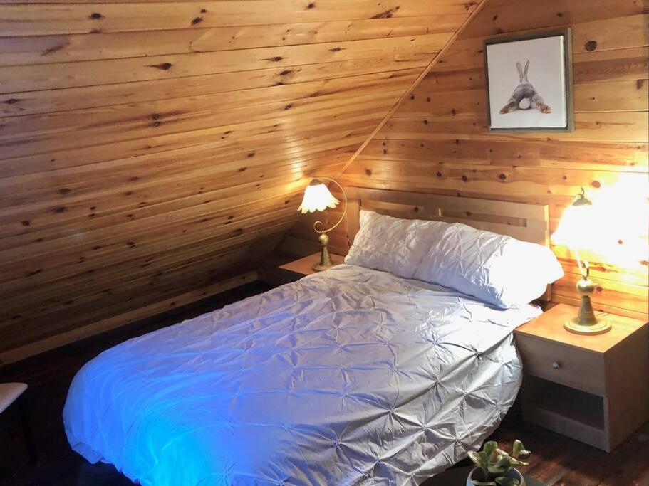 Chalet Riviere - Bord De Riviere - Romantique Saint-Alexis-des-Monts Eksteriør billede
