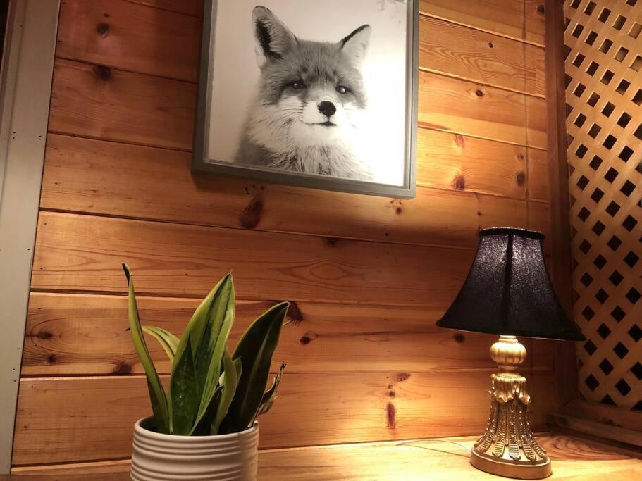 Chalet Riviere - Bord De Riviere - Romantique Saint-Alexis-des-Monts Eksteriør billede